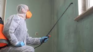 Best Emergency Mold Remediation in Oxford, AL